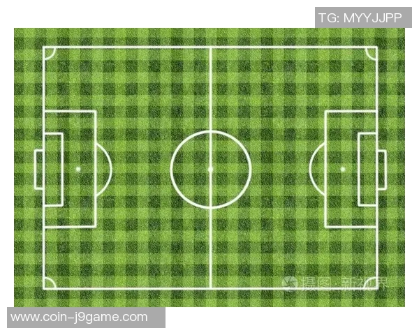 足球品牌全景展示及其标志性设计解析图集